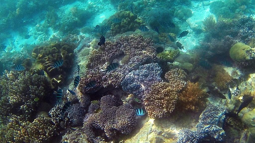 Sylvia Hotel & Resort Komodo Labuan Bajo Ngoại thất bức ảnh