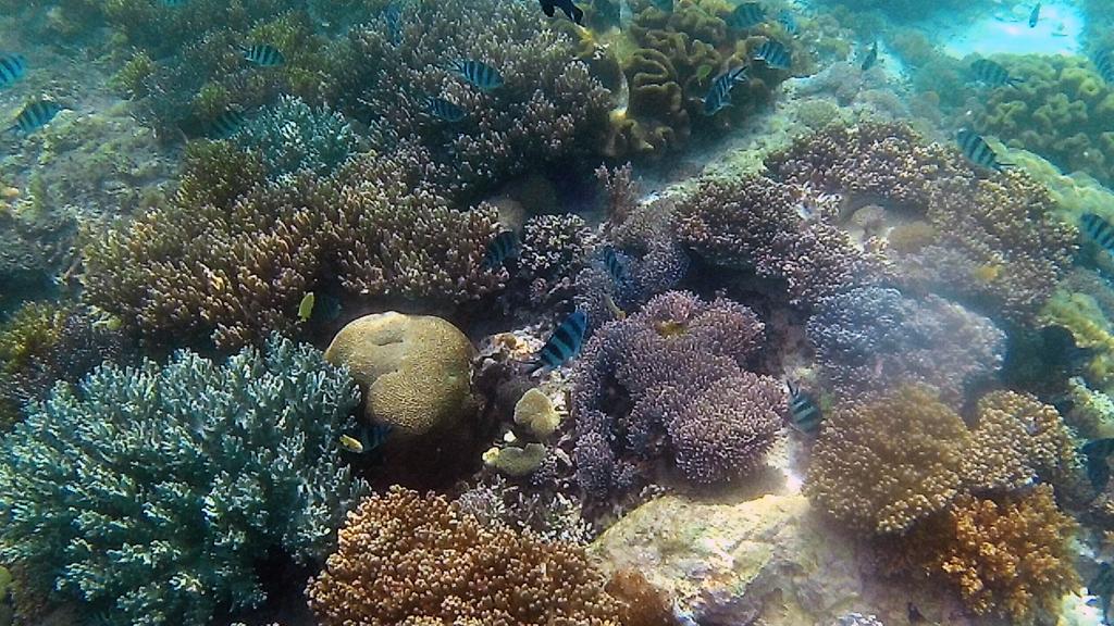 Sylvia Hotel & Resort Komodo Labuan Bajo Ngoại thất bức ảnh